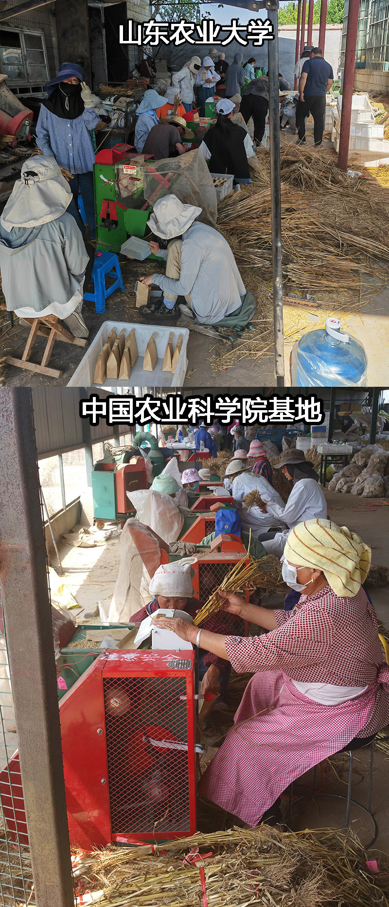 現(xiàn)場1