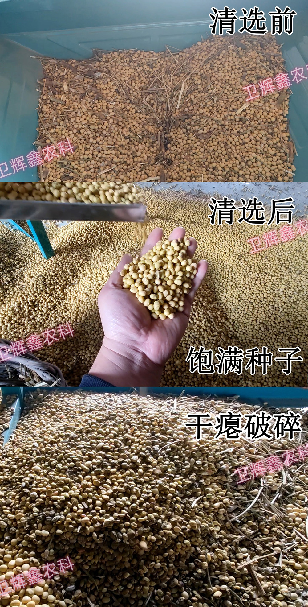 300-1篩選對比2