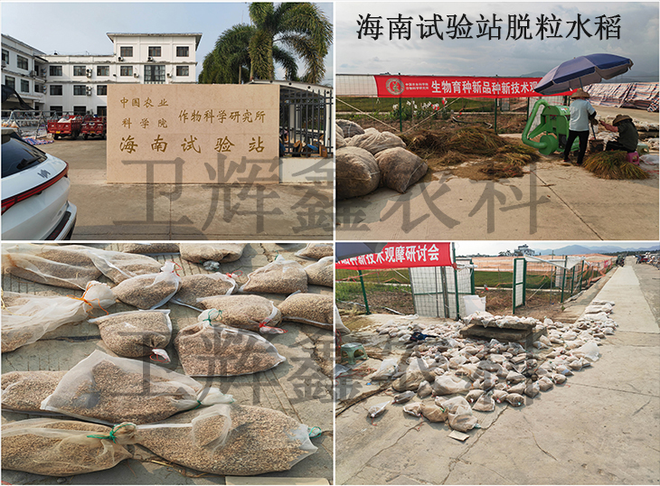 海南試驗(yàn)站